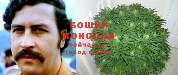 метадон Гусь-Хрустальный
