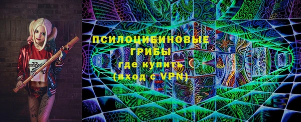 метадон Гусь-Хрустальный
