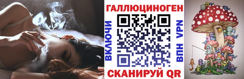 Галлюциногенные грибы Psilocybine cubensis  Строитель 